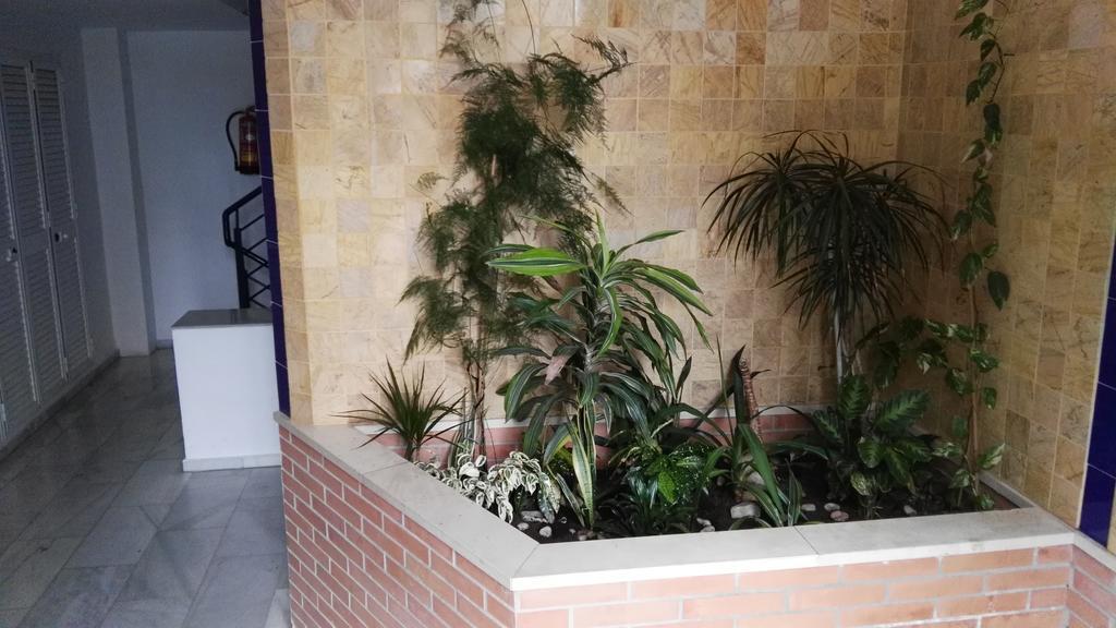 Fan Flat Eugenio (Adults Only) Διαμέρισμα Μάλαγα Εξωτερικό φωτογραφία